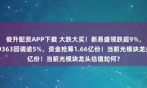 俊升配资APP下载 大跌大买！新易盛领跌超9%，高“光”159363回调逾5%，资金抢筹1.66亿份！当前光模块龙头估值如何？