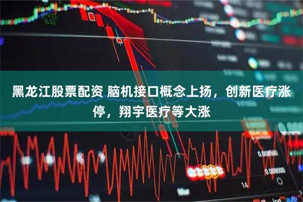 黑龙江股票配资 脑机接口概念上扬，创新医疗涨停，翔宇医疗等大涨