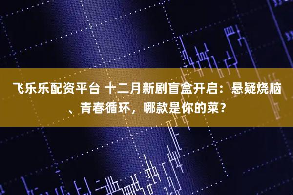 飞乐乐配资平台 十二月新剧盲盒开启：悬疑烧脑、青春循环，哪款是你的菜？
